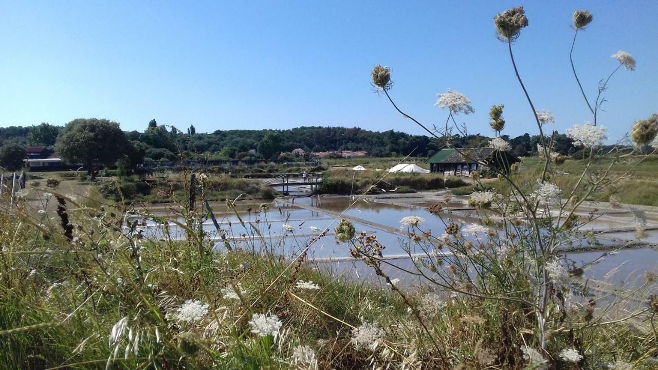 La Chaumette Appartement Les Sables-dʼOlonne Buitenkant foto